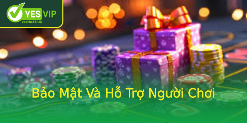 Bảo Mật Và Hỗ Trợ Người Chơi