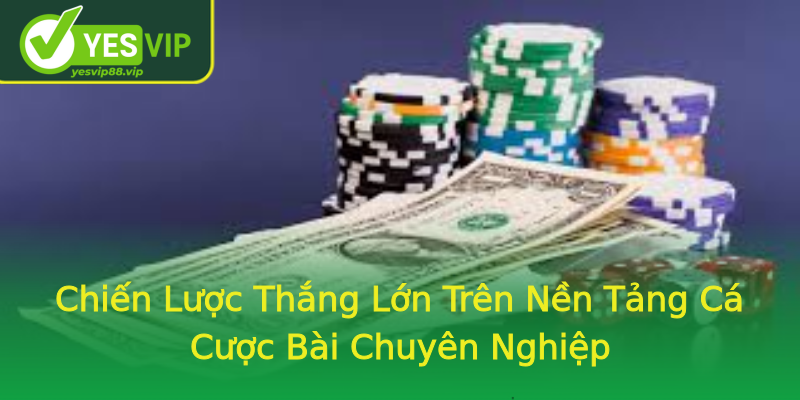 Chiến Lược Thắng Lớn Trên Nền Tảng Cá Cược Bài Chuyên Nghiệp Chiến Lược Thắng Lớn Trên Nền Tảng Cá Cược Bài Chuyên Nghiệp