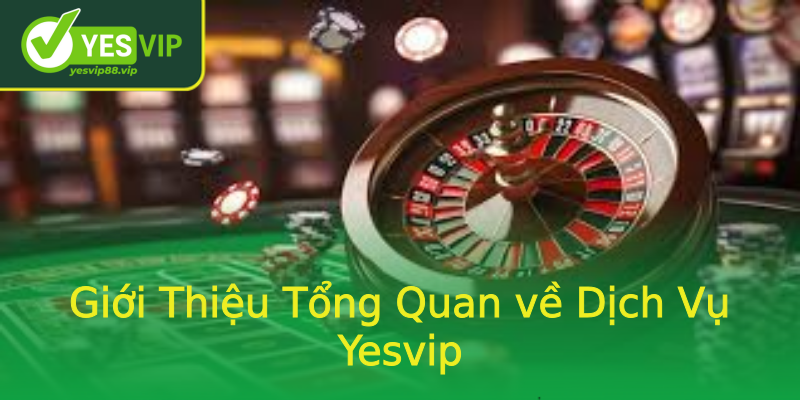 Giới Thiệu Tổng Quan về Dịch Vụ Yesvip