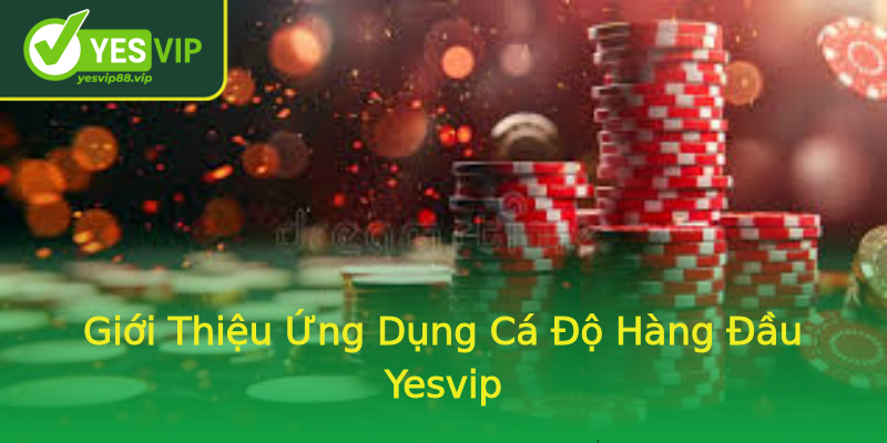 Giới Thiệu Ứng Dụng Cá Độ Hàng Đầu Yesvip