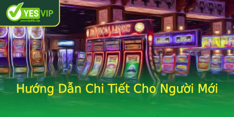 Hướng Dẫn Chi Tiết Cho Người Mới