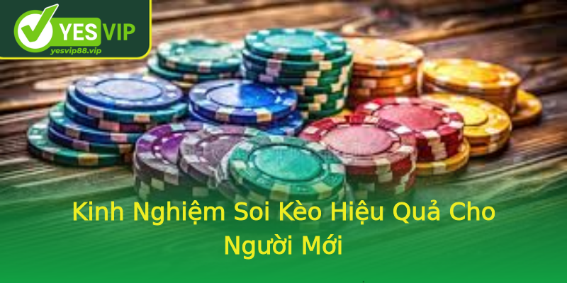 Kinh Nghiệm Soi Kèo Hiệu Quả Cho Người Mới Kinh Nghiệm Soi Kèo Hiệu Quả Cho Người Mới