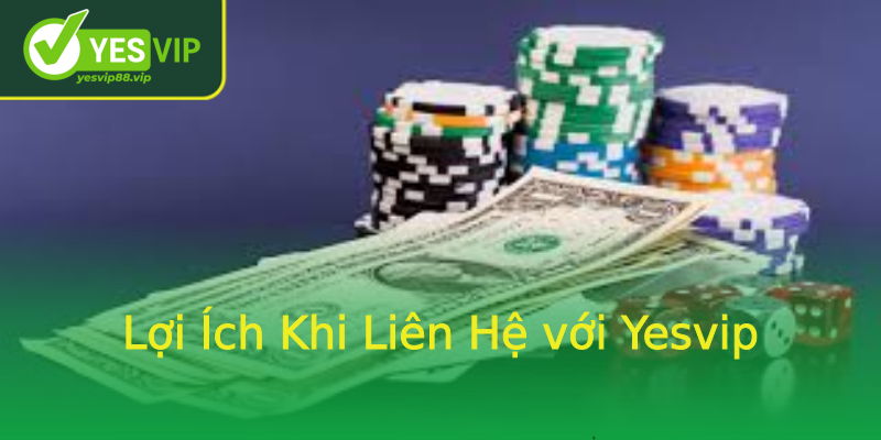 Lợi Ích Khi Liên Hệ với Yesvip