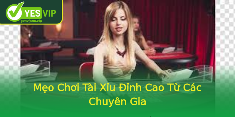 Mẹo Chơi Tài Xỉu Đỉnh Cao Từ Các Chuyên Gia