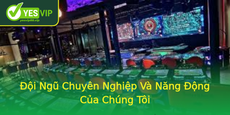 Đội Ngũ Chuyên Nghiệp Và Năng Động Của Chúng Tôi