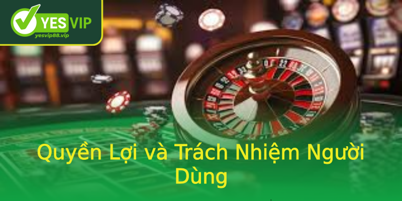 Quyền Lợi và Trách Nhiệm Người Dùng
