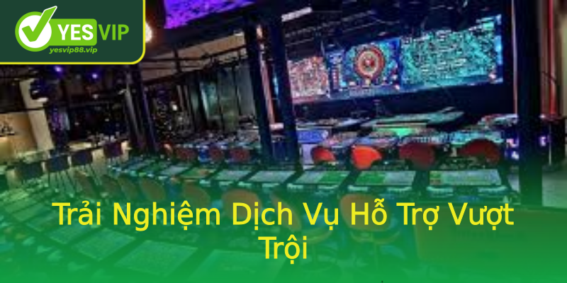 Trải Nghiệm Dịch Vụ Hỗ Trợ Vượt Trội