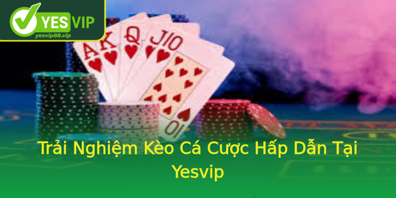 Trải Nghiệm Kèo Cá Cược Hấp Dẫn Tại Yesvip