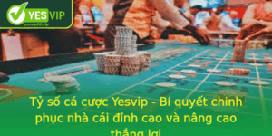 Ty So Ca Cuoc Yesvip Bi Quyet Chinh Phuc Nha Cai Inh Cao Va Nang Cao Thang Loi