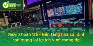 Yesvip Hoan Tra Nen Tang Nha Cai Inh Cao Mang Lai Loi Ich Vuot Mong Oi